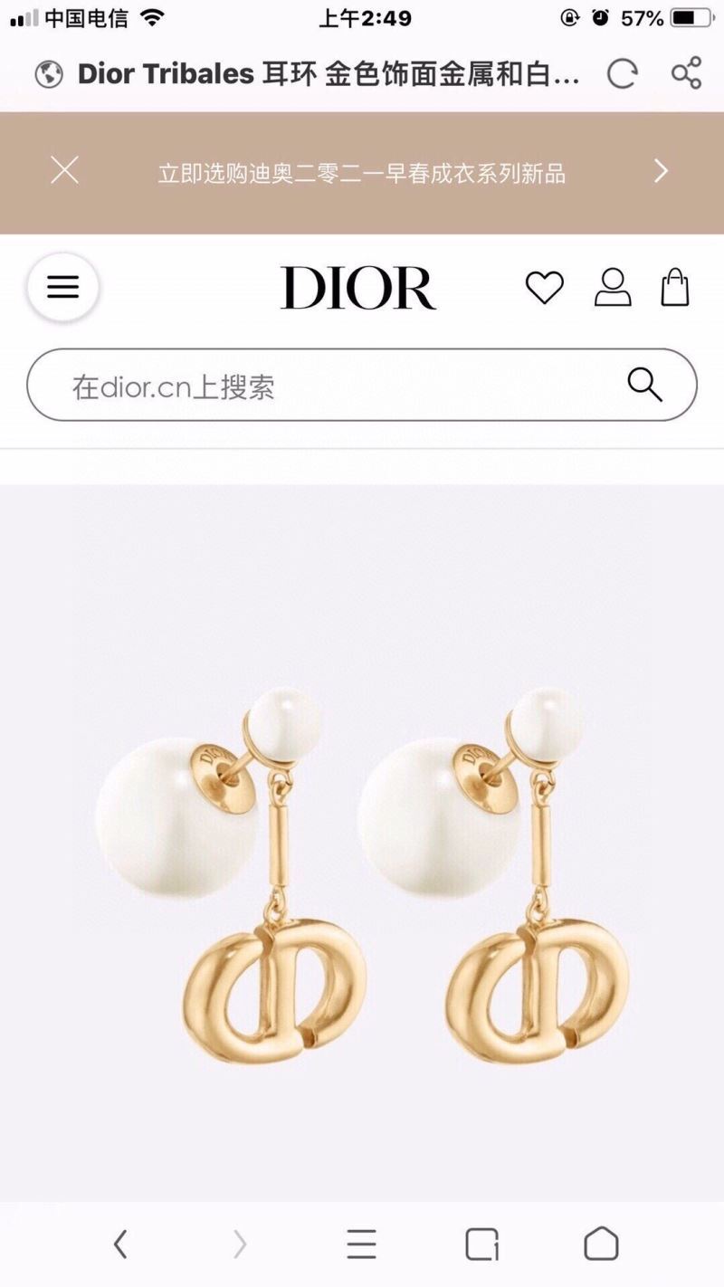 Christian Dior Earrings